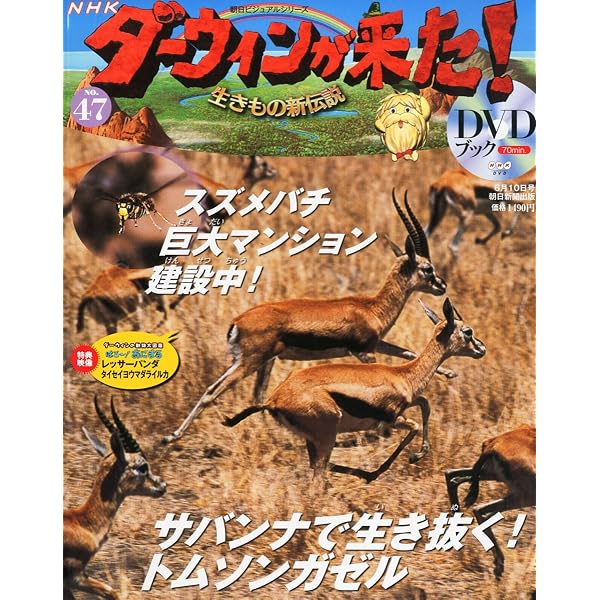 Amazon.co.jp: ダーウィンが来た!生きもの新伝説DVDブック 2011年 11
